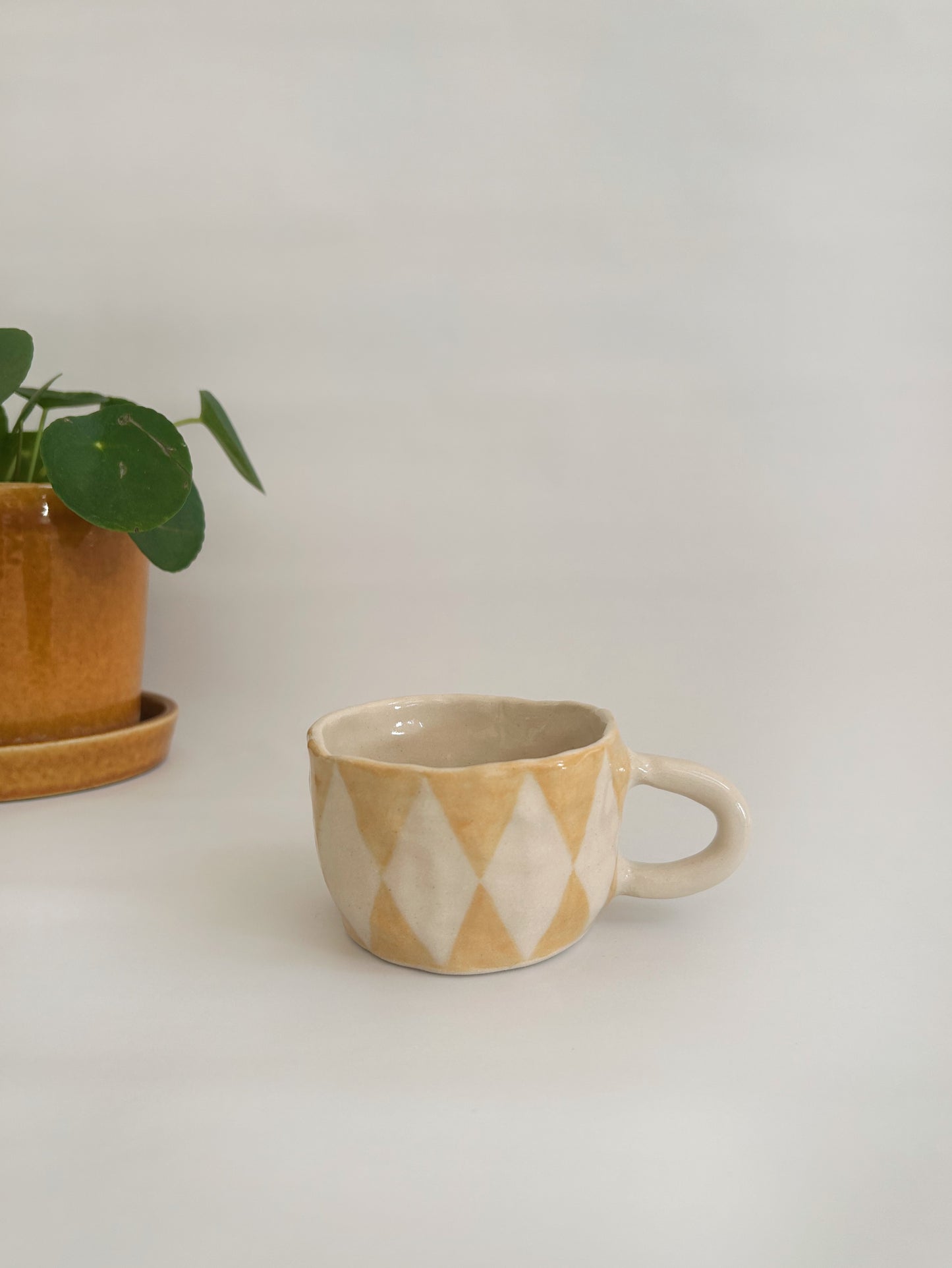 Flat White Harlequin Mug